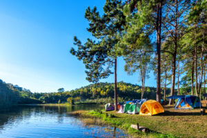 camping-tents-pine-trees-with-sunlight-pang-ung-lake-mae-hong-son-thailand